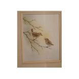 Andrew Osborne, framed watercolour study, Wren with chick, 11 x 8 ins