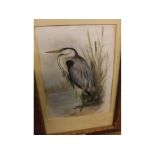 Medlan, over-painted print, A Heron, 9 x 7 ins in gilt finish frame