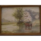 19th Century English School, watercolour, Cows at riverside, 8" wide, framed and glazed