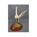 Border Fine Art figures (unboxed and uncertificated): Snowy Owl by Russell Willis, model number