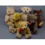 Group: eight 20th century teddy bears comprising six modern Steiff bears to include two golden