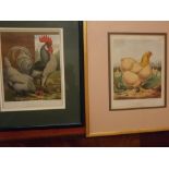 After Ludlow, two coloured lithographs, Cockerels etc, 8 x 6 1/2 ins (2)