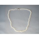 Pearl necklace with diamond and sapphire set clasp