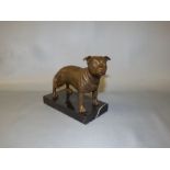 Bronze figure of a Staffordshire bull terrier on marble base 14 cm H x 14 cm L