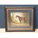 Framed equine oil painting study of a Thoroughbred horse in a stable, 30cmx39cm approx