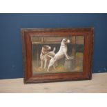 Oak framed oil painting study of two terrier dogs in a courtyard 30.5cmx39cm approx