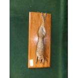 Austrian Cold Painted Bronze Desk Clip of a Still Life Hare , 30cmL