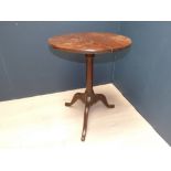 Pair of Edwardian mahogany occasional chairs with spider's web back splat and an inlaid armchair,