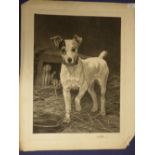 After Thomas Blinks, Terrier & Ferrets in a barn interior, black and white etching, published by