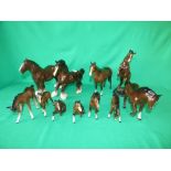 11 bay coloured Beswick horses & foals