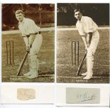 Herbert Percy Chaplin, Sussex, 1905-1914, and John Ewan Frazer, Somerset, Sussex & Oxford