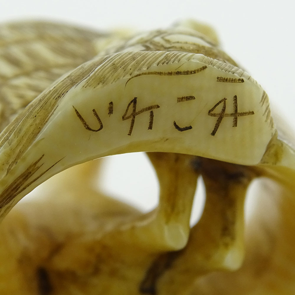 Early 20th Century Japanese Baisho Shop Carved Netsuke In The Form of a Stork and Turtle. Finely - Image 8 of 8