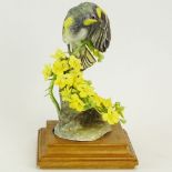 Dorothy Doughty Royal Worcester Porcelain Bird Group "Audubon Warbler and Palo Verdi". On wood