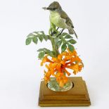 Dorothy Doughty Royal Worcester Porcelain Bird Group "Phoebe Sayor & Flame Vine". On wood stand.