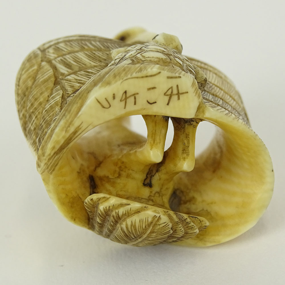 Early 20th Century Japanese Baisho Shop Carved Netsuke In The Form of a Stork and Turtle. Finely - Image 7 of 8