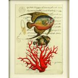 18th Century Manuscript Hand Decorated with Later Watercolor "Fish". Toning from age or in good