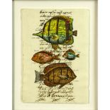 18th Century Manuscript Hand Decorated with Later Watercolor "Fish". Toning from age or in good