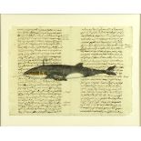 18th Century Manuscript Hand Decorated with Later Watercolor "Whale". Toning from age or in good