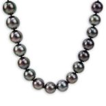 Single Strand Graduated Tahitian Grey Pearl Necklace with 14 Karat White Gold and Diamond Ball