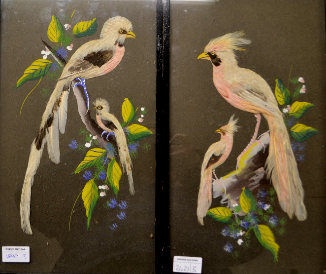 A pair of feather bird pictures.