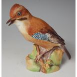 A Royal Worcester figure of a jay, mounted on naturalistic setting, numbered 3248, h.