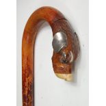 A continental fruitwood walking cane, the associated terminal carved as a bloodhounds head,