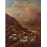 Charles Watson - Sheep in a Highland landscape, oil on canvas, signed and dated lower right 1908,