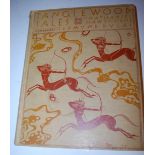 Dulac Edmund illustrator, Tanglewood Tales, London 1918, first edition,
