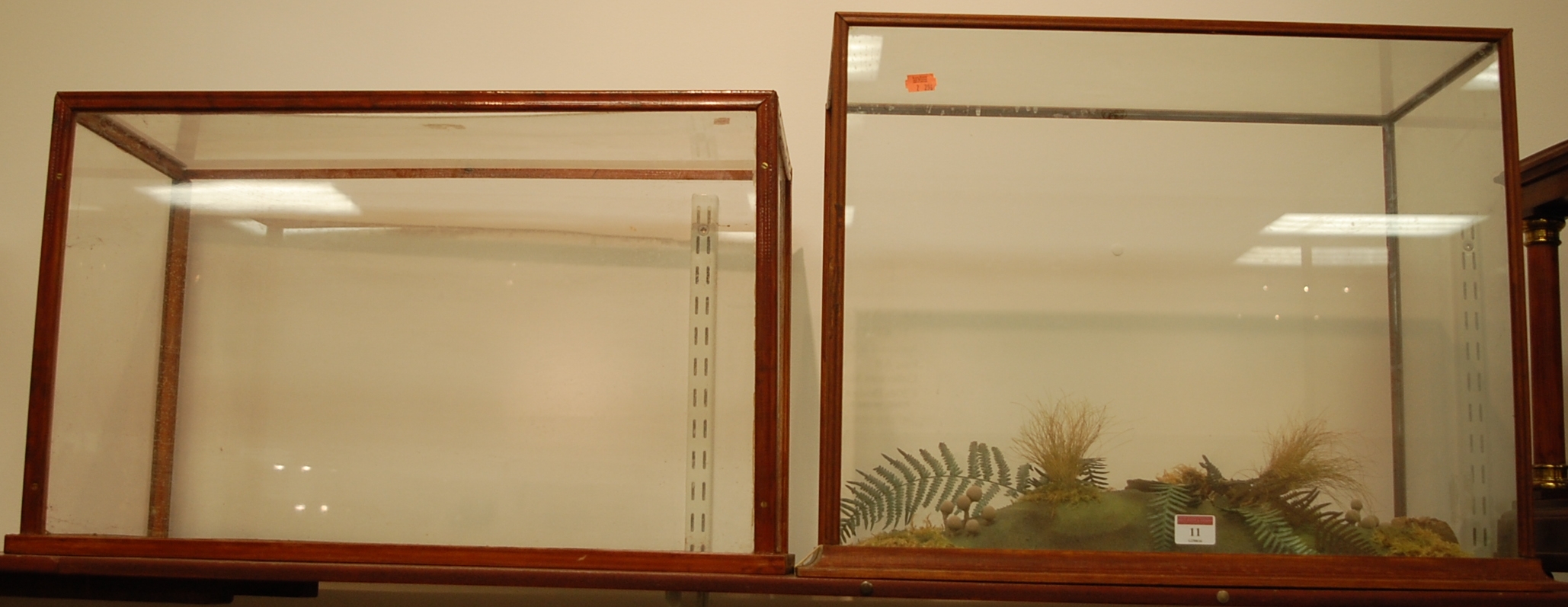 Two modern rectangular glazed display cases