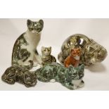 A collection of assorted ceramic cat figures to include Winstanley examples