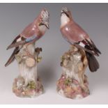 A pair of 19th century Meissen porcelain bird groups, modelled as jays upon a treestump,