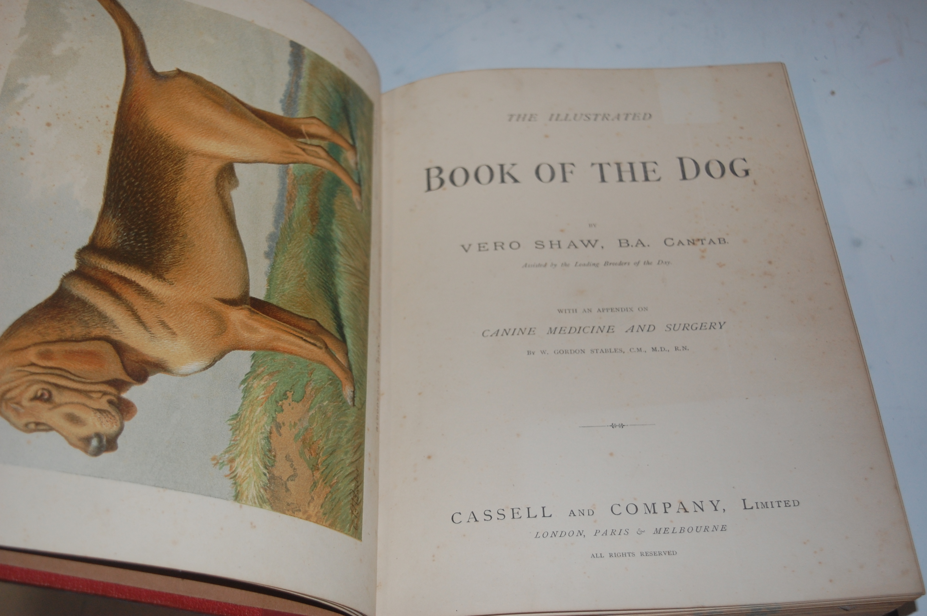 SHAW Vero, The Illustrated Book of the Dog, London, Cassell & Co, circa 1890, 4to, ½ calf, - Image 2 of 3