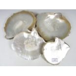 A quantity of mother of pearl shells