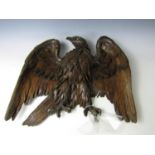 A large 19th Century carved wooden eagle, naturalistically modelled with outstretched wings, 50 cm
