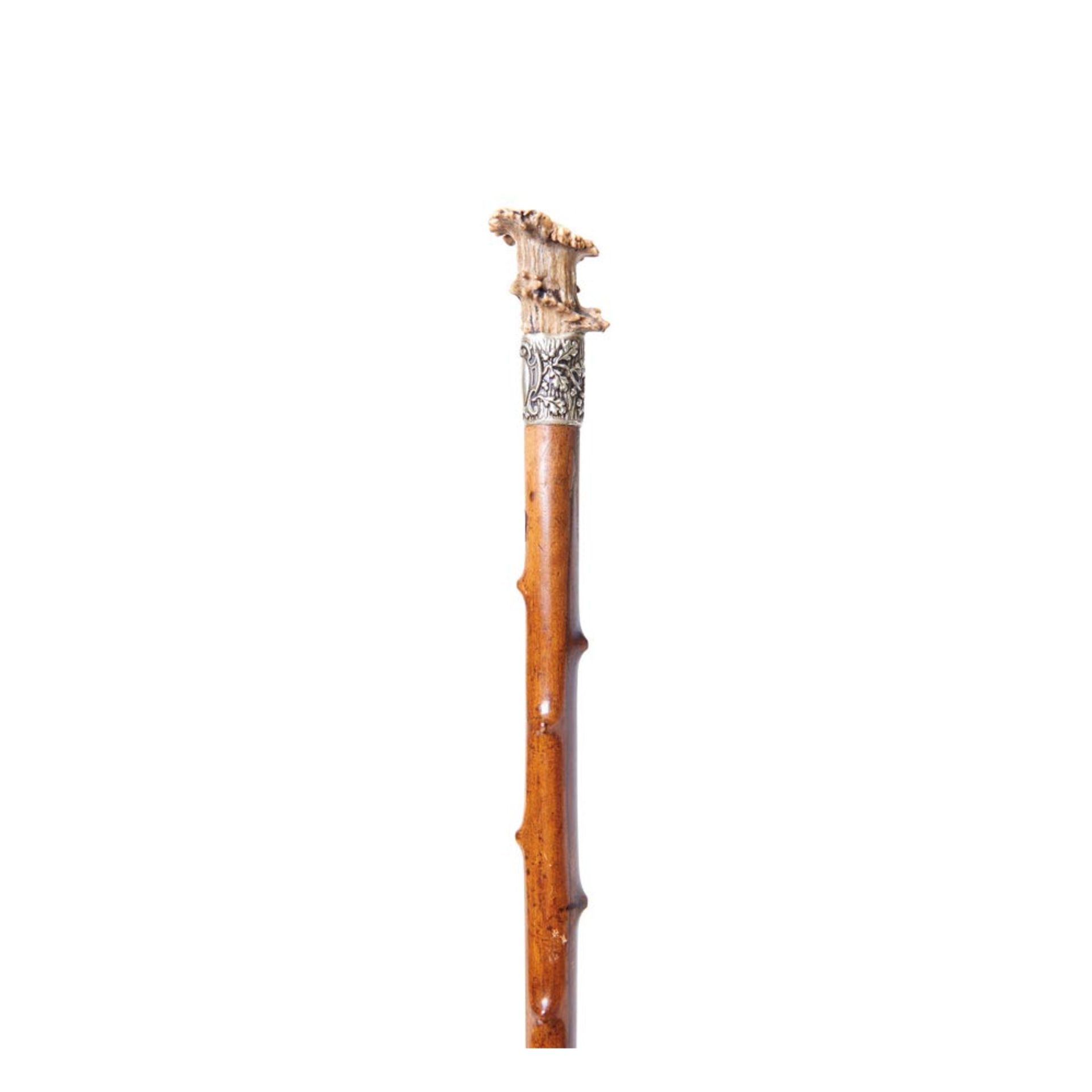 Horn and wood walking stick