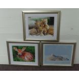 Lot of 3x Silver Framed Wild Life Pictures