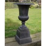 Pair of Bronze Urns and Bases on stand W: 47cm H: 87cm