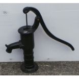 Small Garden Pump