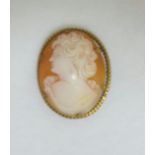 Cameo mounted in 12ct mount