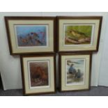 Lot of 4x Framed Limited Edition Bird Prints Signed Robert E. Fuller