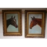 Pair of Oil on Board Horse Pictures in Gilt Frame