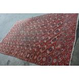 Turkoman carpet with five rows of twelve gols on a wine ground with multiple borders,