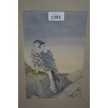 Keith Branwood, 20th Century gouache of a kestrel on a rock, signed, dated 1988,