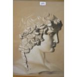 19th Century charcoal and white highlighted chalk study of a bust, possibly Alexander the Great,