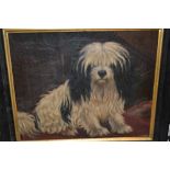 A.G. Walker, signed oil on canvas, portrait of a Maltese terrier, 11.