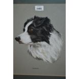 Mary Helena Browning, pastel portrait of a sheep dog, signed, 14.5ins x 12.