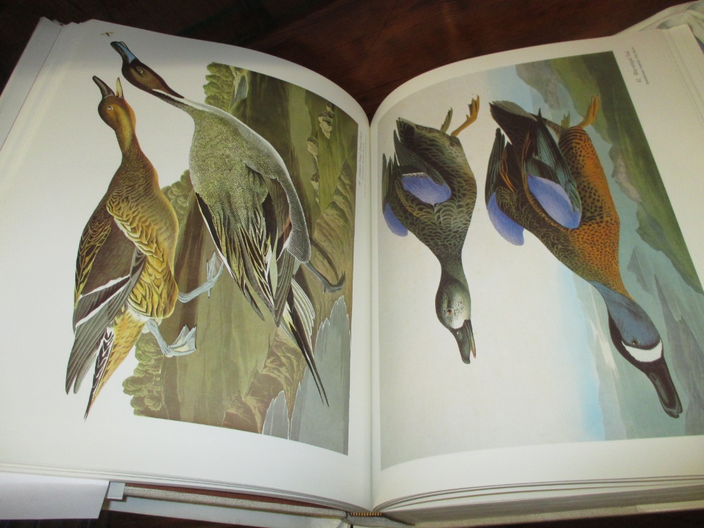 The Audubon Society Baby Elephant folio volume, - Image 2 of 2