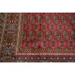 Red ground Bokhara style carpet, 2.3m x 1.