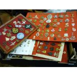 Large collection of military badges and buttons mounted on boards and cards