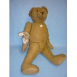 Large early 20th Century hump back articulated teddy bear (arm a/f),